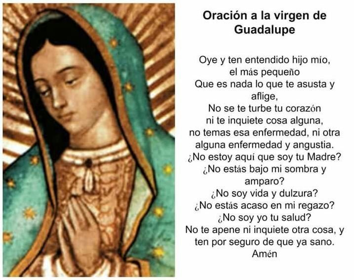 Estampa oración a la Virgen de Guadalupe